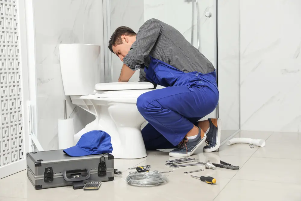 Toilet Installation in Wailea